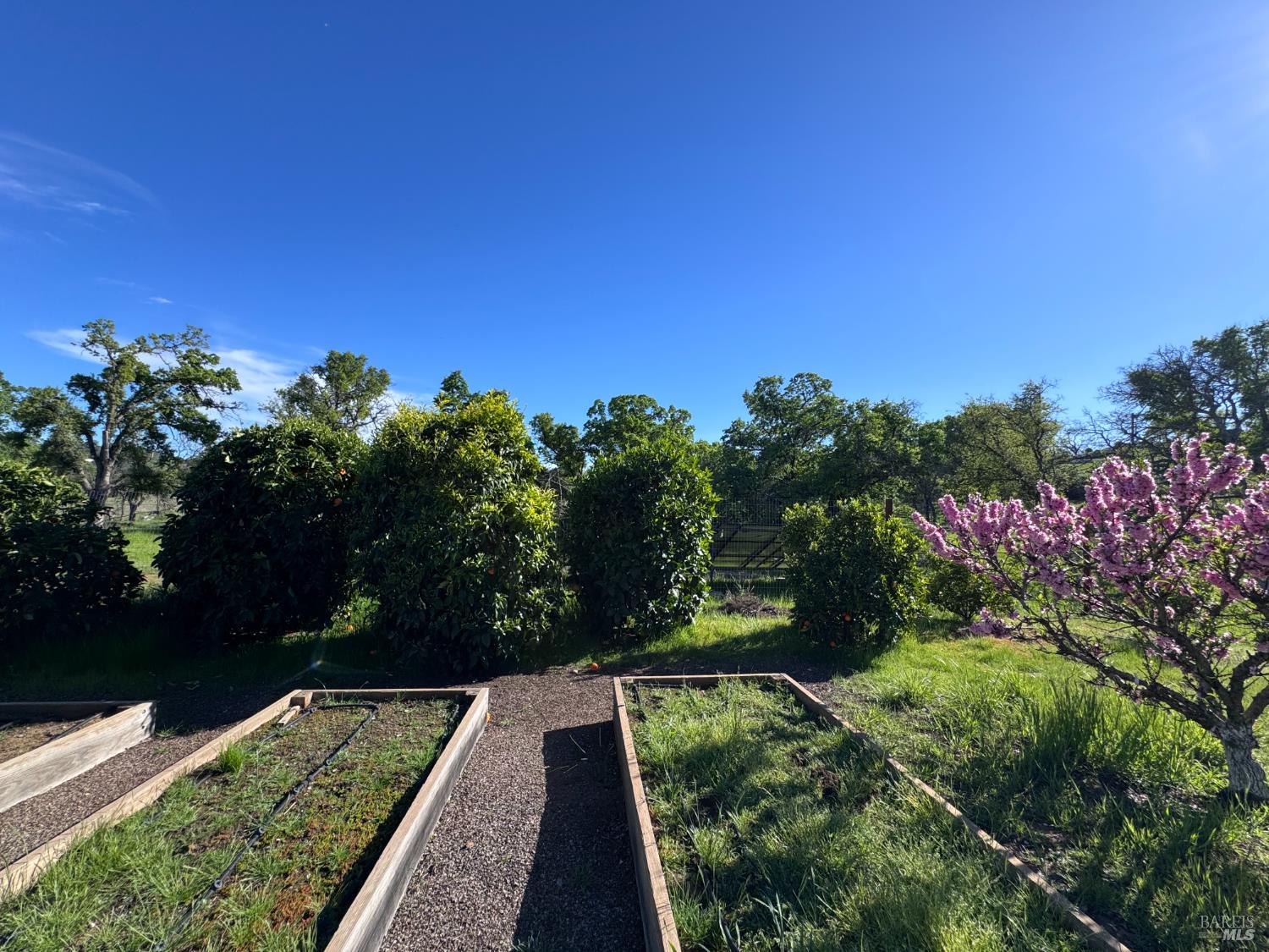 Detail Gallery Image 7 of 35 For 8600 Pleasants Valley Rd, Winters,  CA 95694 - – Beds | – Baths