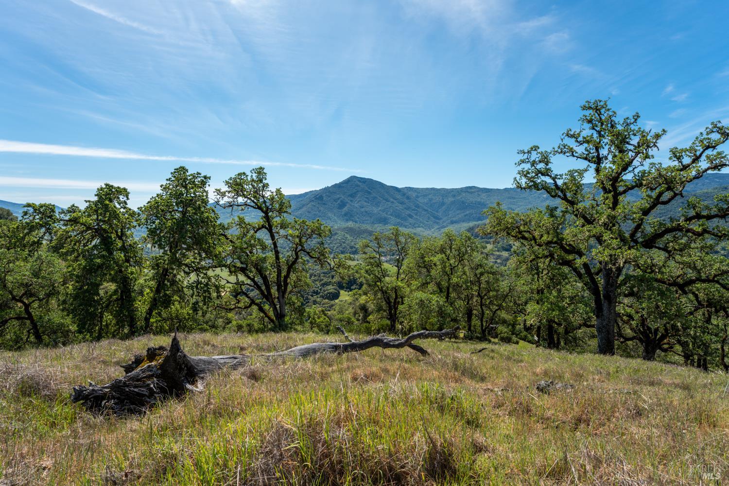 Detail Gallery Image 40 of 48 For 2800 Feliz Creek Rd, Hopland,  CA 95449 - – Beds | – Baths