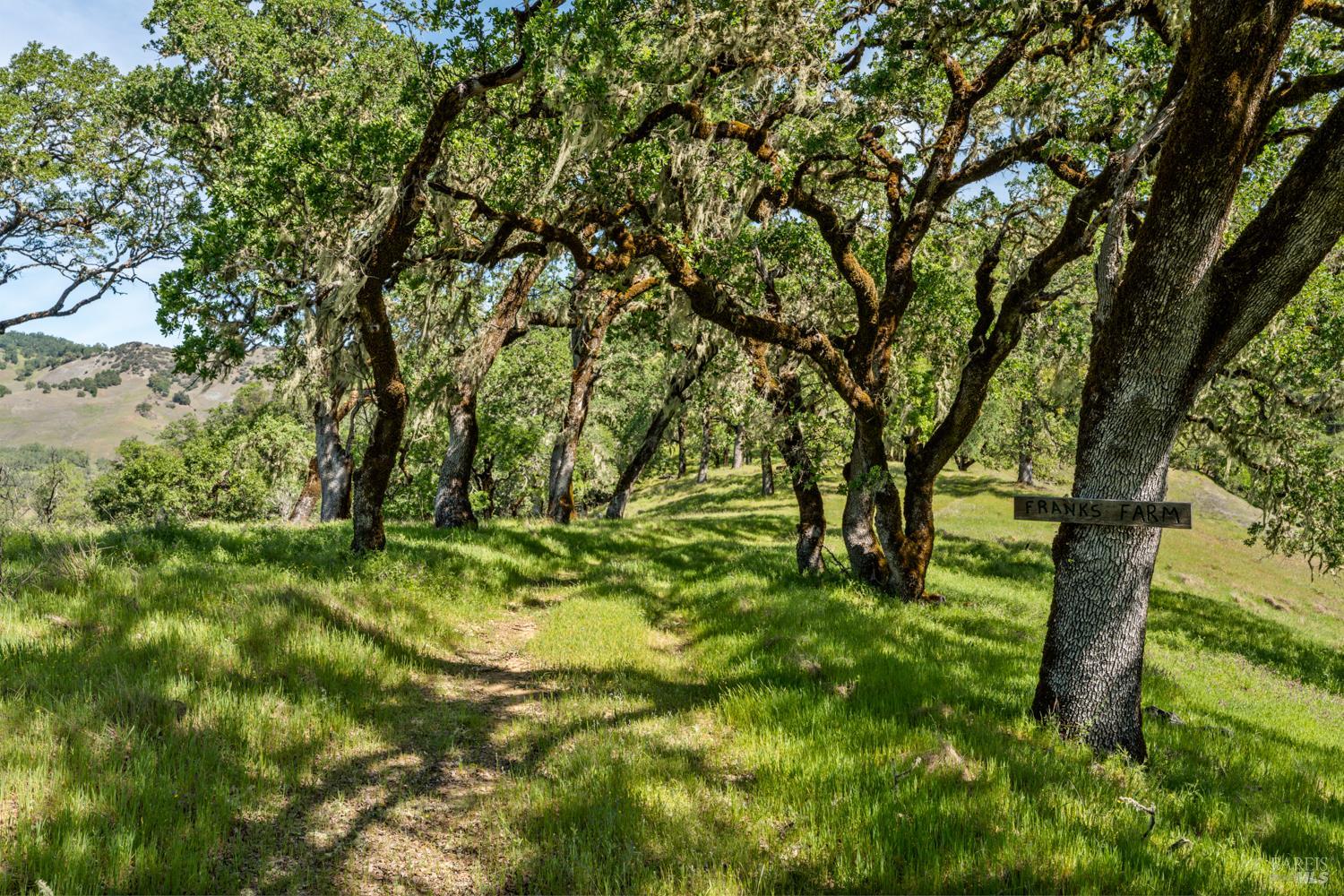 Detail Gallery Image 36 of 48 For 2800 Feliz Creek Rd, Hopland,  CA 95449 - – Beds | – Baths