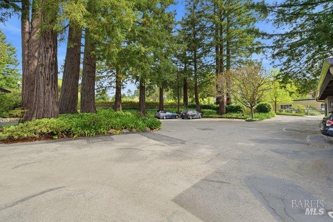 Detail Gallery Image 47 of 50 For 10 Catalpa Ave #7,  Mill Valley,  CA 94941 - 2 Beds | 1 Baths