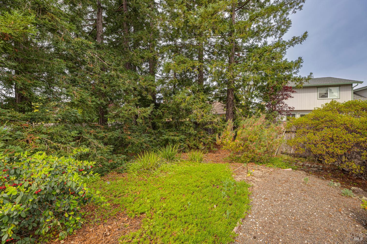 Detail Gallery Image 29 of 39 For 29 Caulfield Ct, Petaluma,  CA 94954 - 4 Beds | 3 Baths