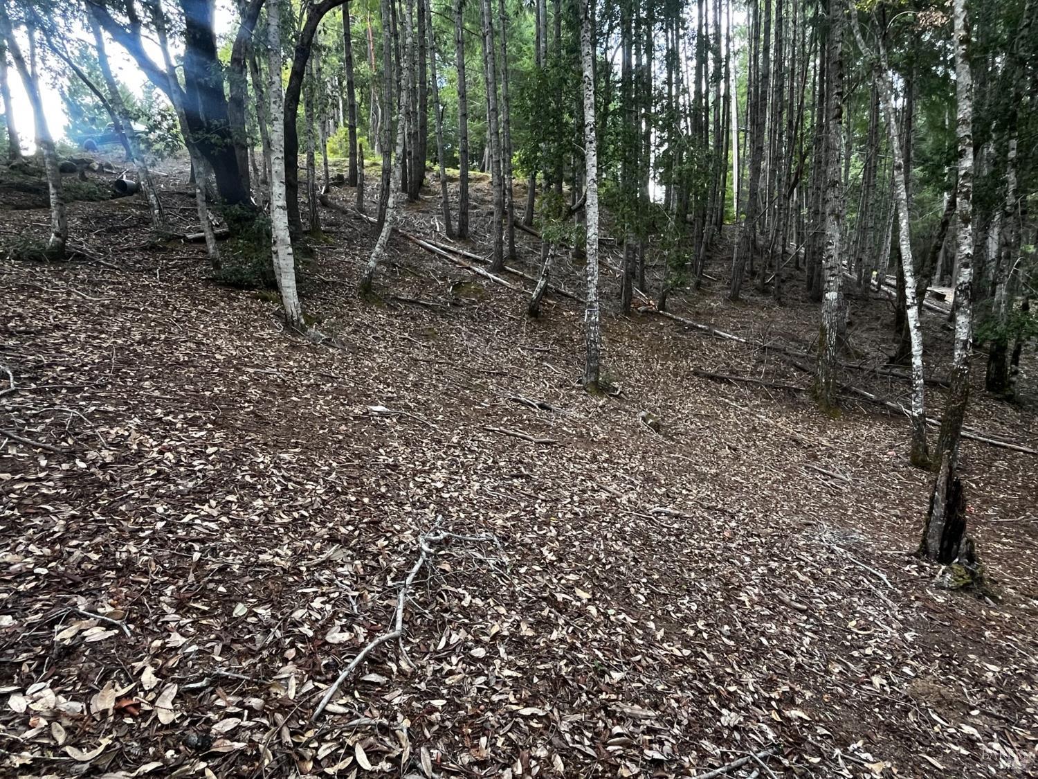 Detail Gallery Image 3 of 6 For 1921 Clover Dr, Willits,  CA 95490 - – Beds | – Baths