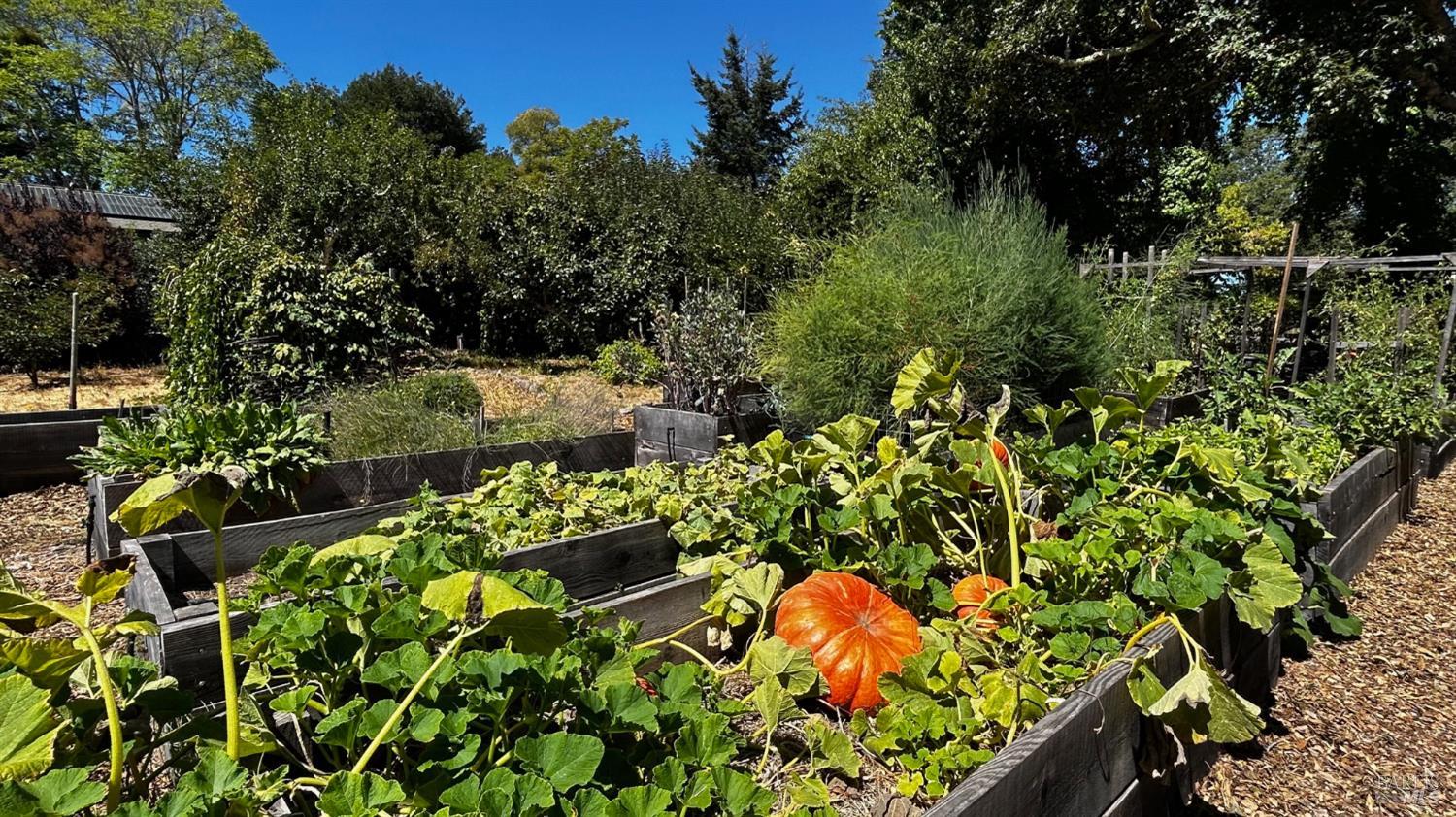 Detail Gallery Image 39 of 63 For 10463 Mill Station Rd, Sebastopol,  CA 95472 - 3 Beds | 2 Baths