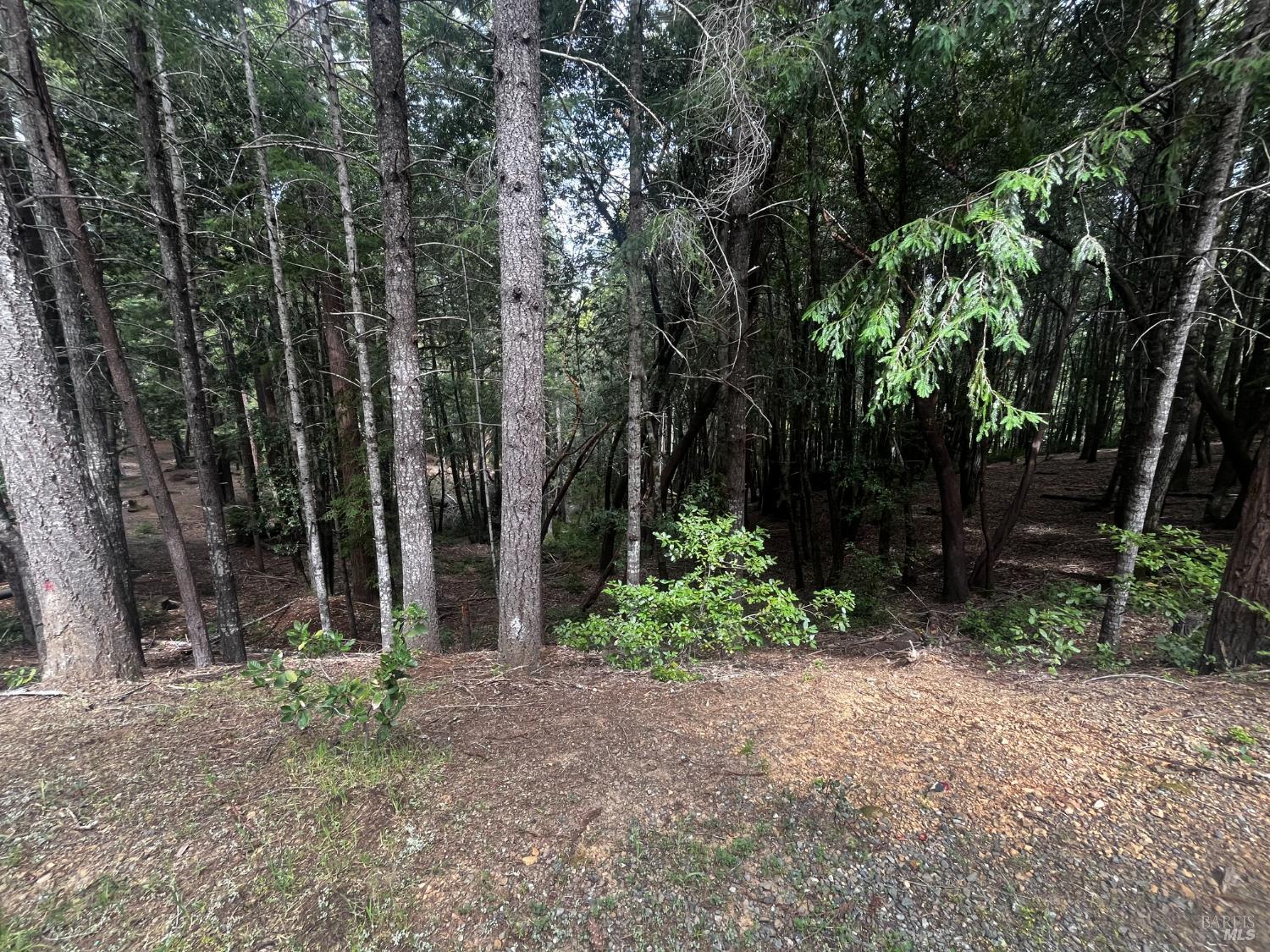 Front Image Thumbnail for BA326026674