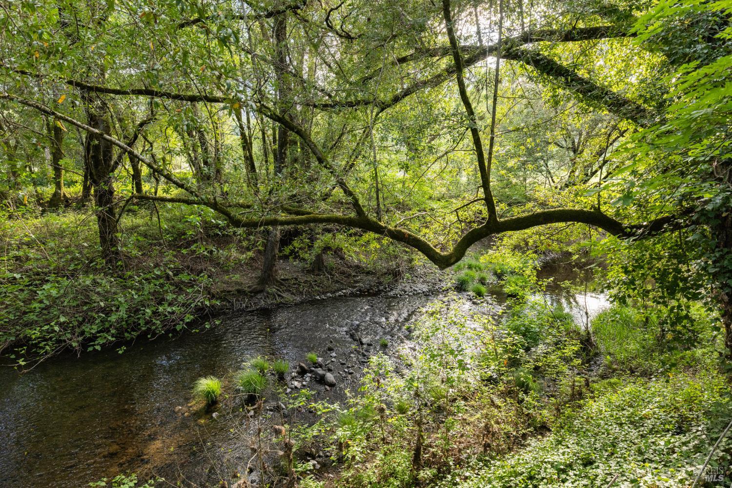 Detail Gallery Image 36 of 41 For 3000 Warm Springs Rd, Glen Ellen,  CA 95442 - 3 Beds | 3 Baths