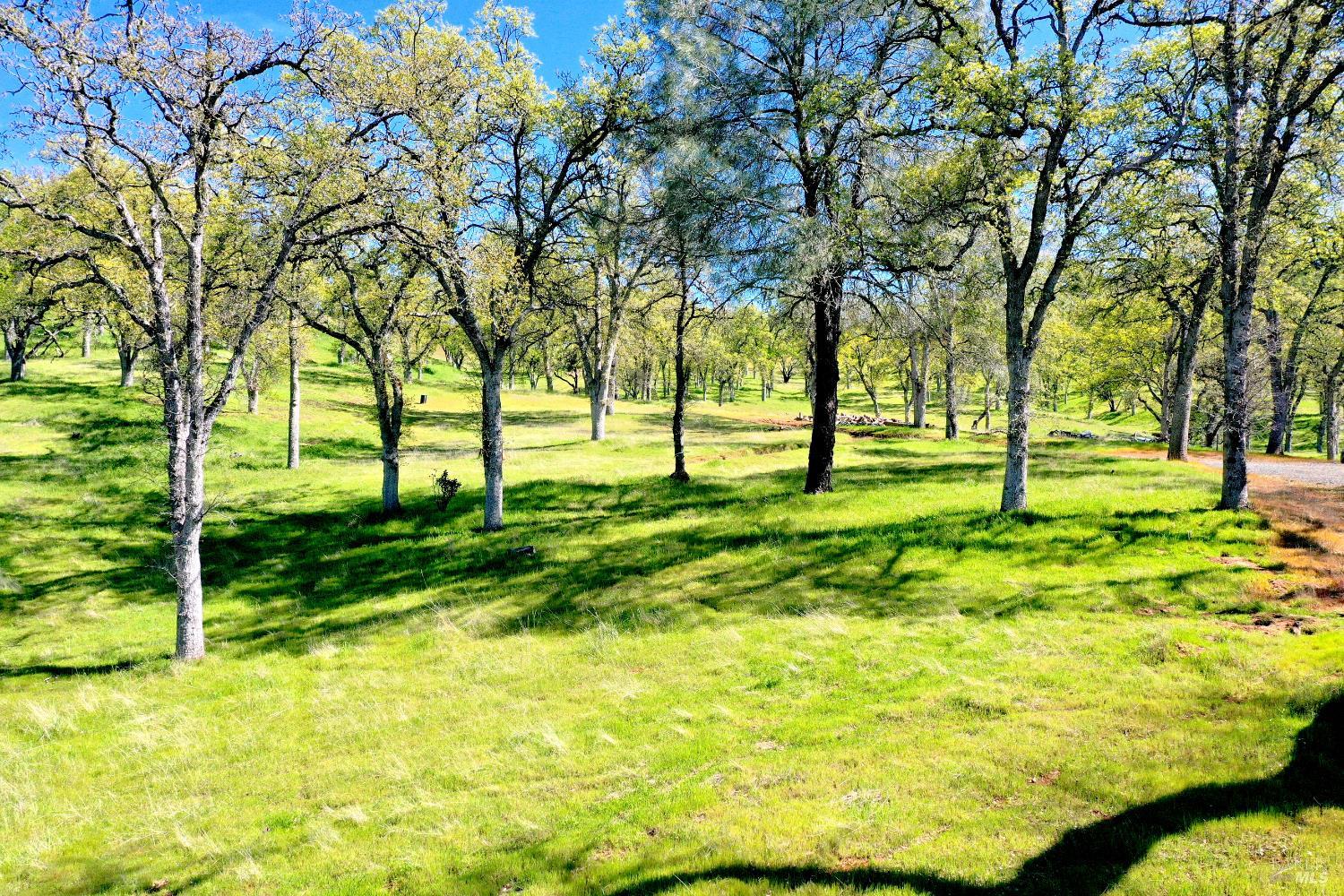 Detail Gallery Image 42 of 49 For 18300 Morgan Valley Rd, Lower Lake,  CA 95457 - 2 Beds | 2 Baths