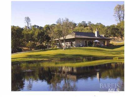 Detail Gallery Image 9 of 49 For 18300 Morgan Valley Rd, Lower Lake,  CA 95457 - 2 Beds | 2 Baths