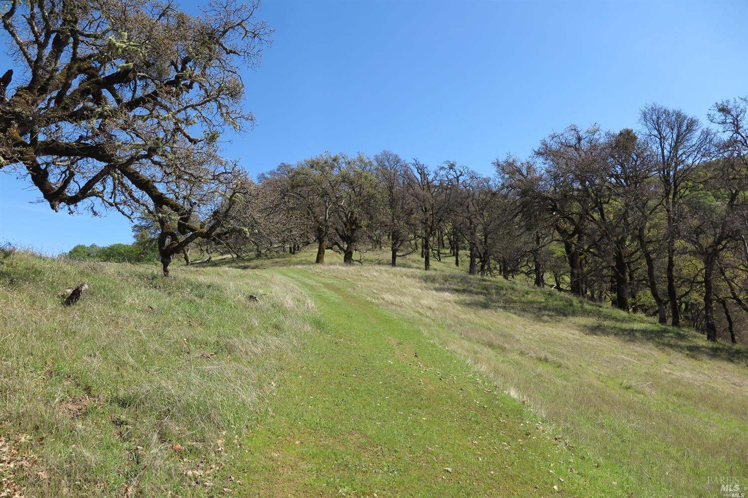 Detail Gallery Image 13 of 37 For 12950 Eagle Rock Rd, Hopland,  CA 95449 - – Beds | – Baths