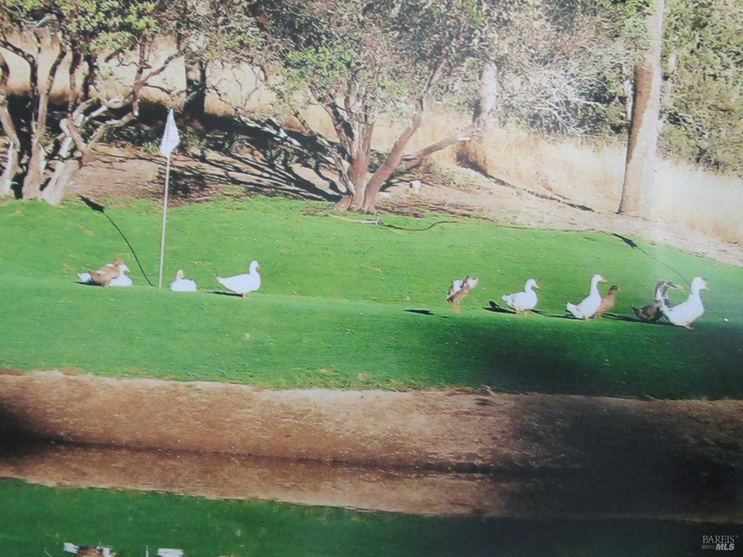 Detail Gallery Image 16 of 49 For 18300 Morgan Valley Rd, Lower Lake,  CA 95457 - 2 Beds | 2 Baths