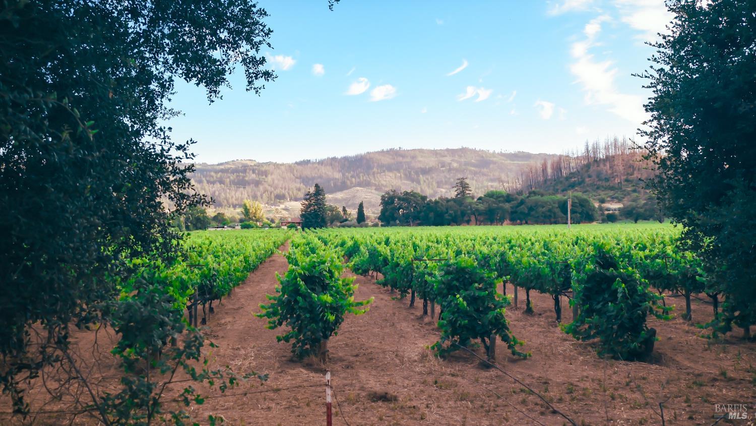 Detail Gallery Image 25 of 34 For 4405 Silverado Trl, Calistoga,  CA 94515 - 3 Beds | 1/1 Baths