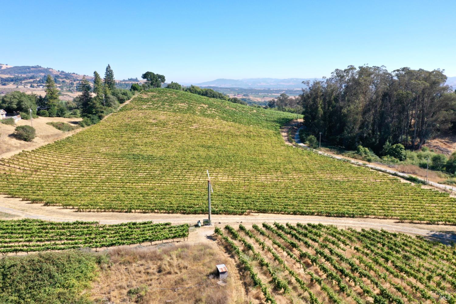 Detail Gallery Image 11 of 65 For 4889 Grange Rd, Santa Rosa,  CA 95404 - 5 Beds | 4/1 Baths