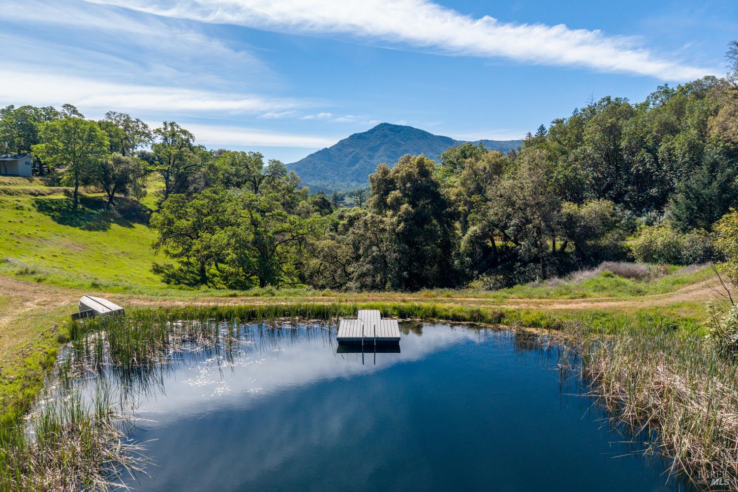 Detail Gallery Image 18 of 48 For 2800 Feliz Creek Rd, Hopland,  CA 95449 - – Beds | – Baths