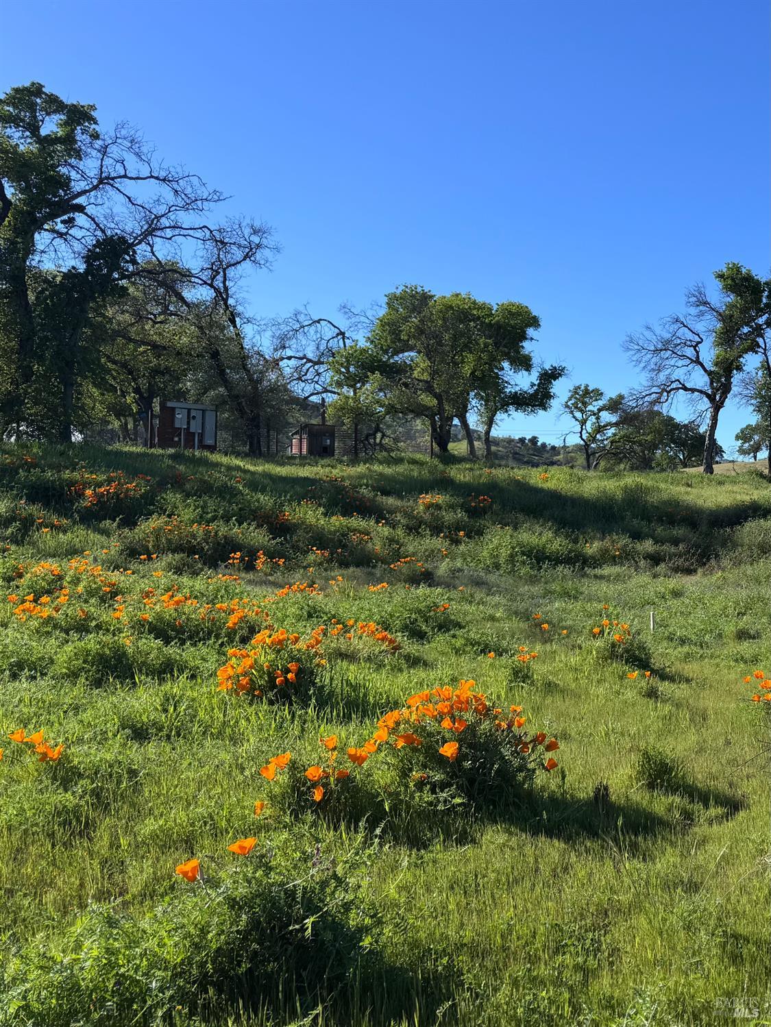 Detail Gallery Image 22 of 35 For 8600 Pleasants Valley Rd, Winters,  CA 95694 - – Beds | – Baths