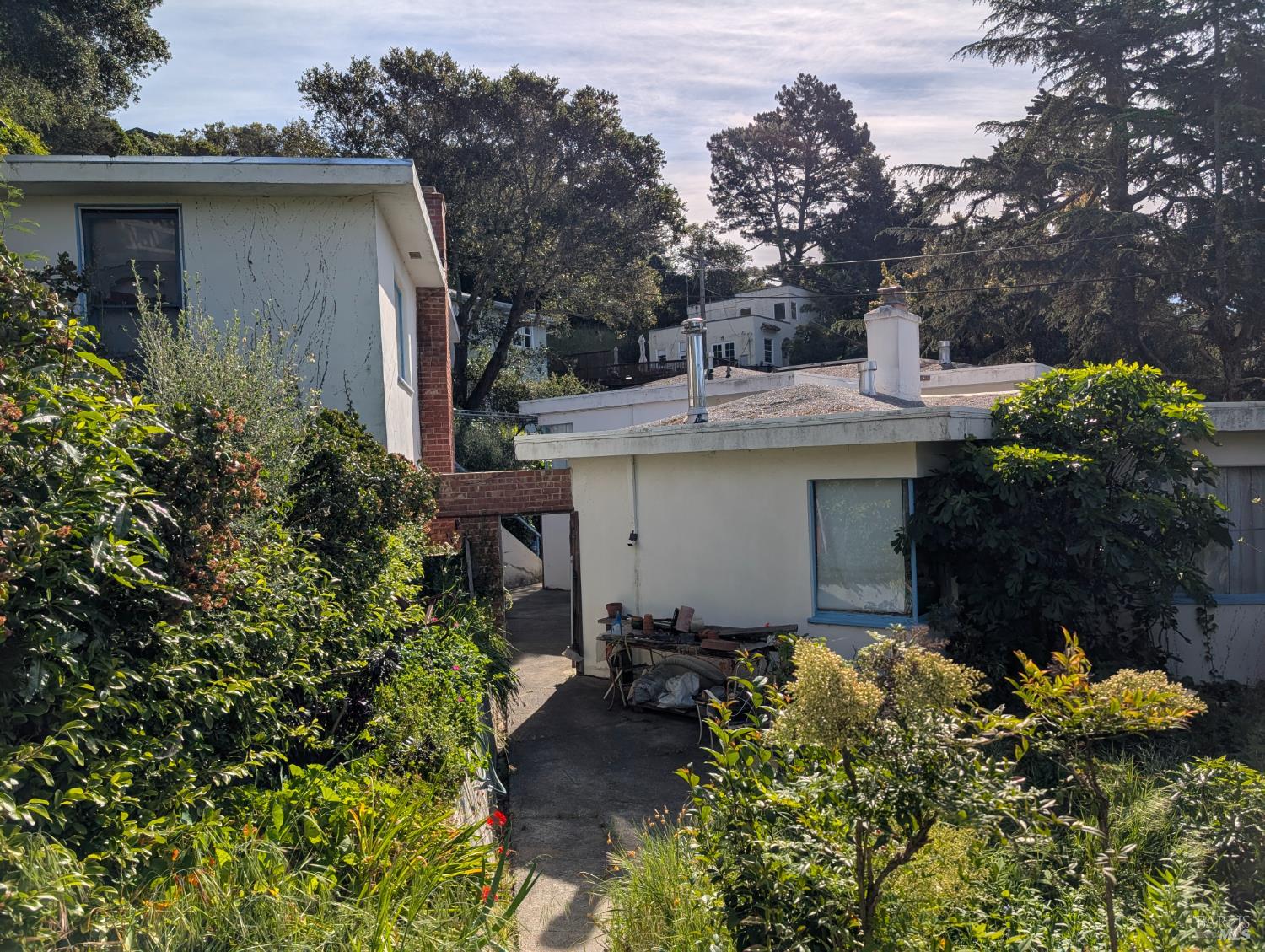 Detail Gallery Image 3 of 19 For Address Is Not Disclosed, Mill Valley,  CA 94901 - 3 Beds | 1 Baths