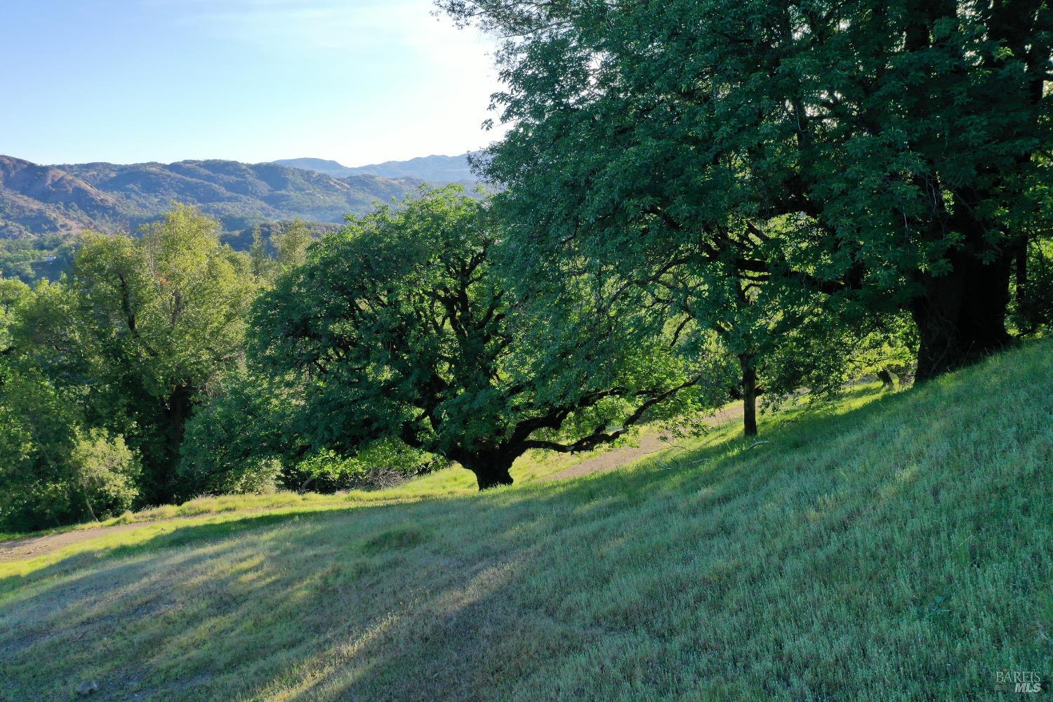 Detail Gallery Image 22 of 37 For 12950 Eagle Rock Rd, Hopland,  CA 95449 - – Beds | – Baths