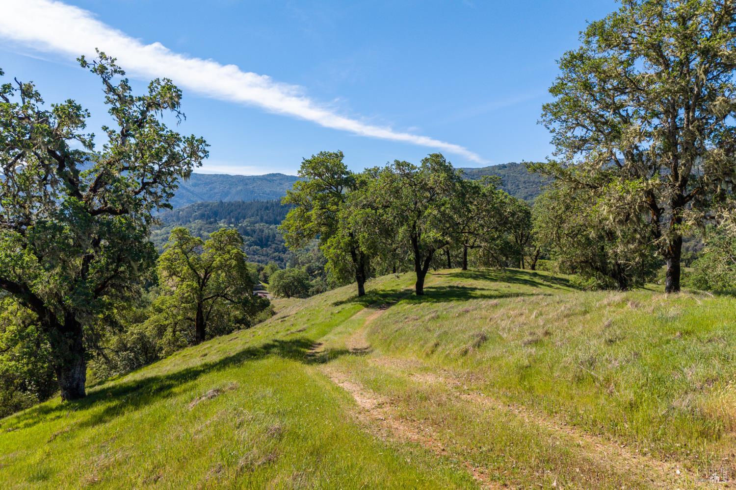 Detail Gallery Image 35 of 48 For 2800 Feliz Creek Rd, Hopland,  CA 95449 - – Beds | – Baths