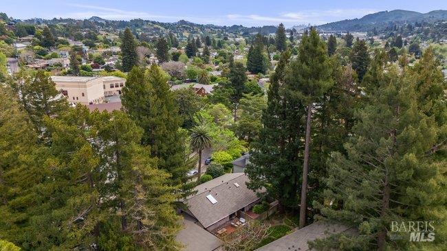 Detail Gallery Image 49 of 50 For 10 Catalpa Ave #7,  Mill Valley,  CA 94941 - 2 Beds | 1 Baths