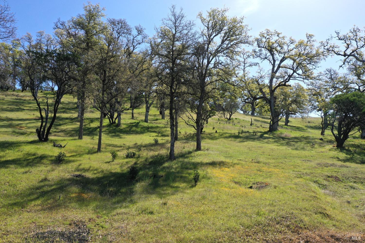 Detail Gallery Image 22 of 49 For 18300 Morgan Valley Rd, Lower Lake,  CA 95457 - 2 Beds | 2 Baths