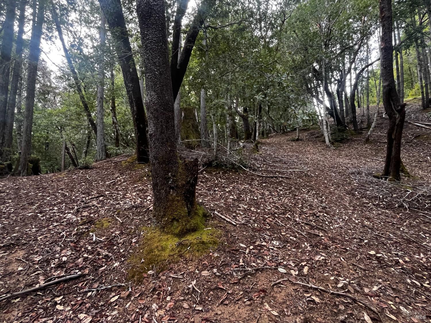 Front Image Thumbnail for BA326026790