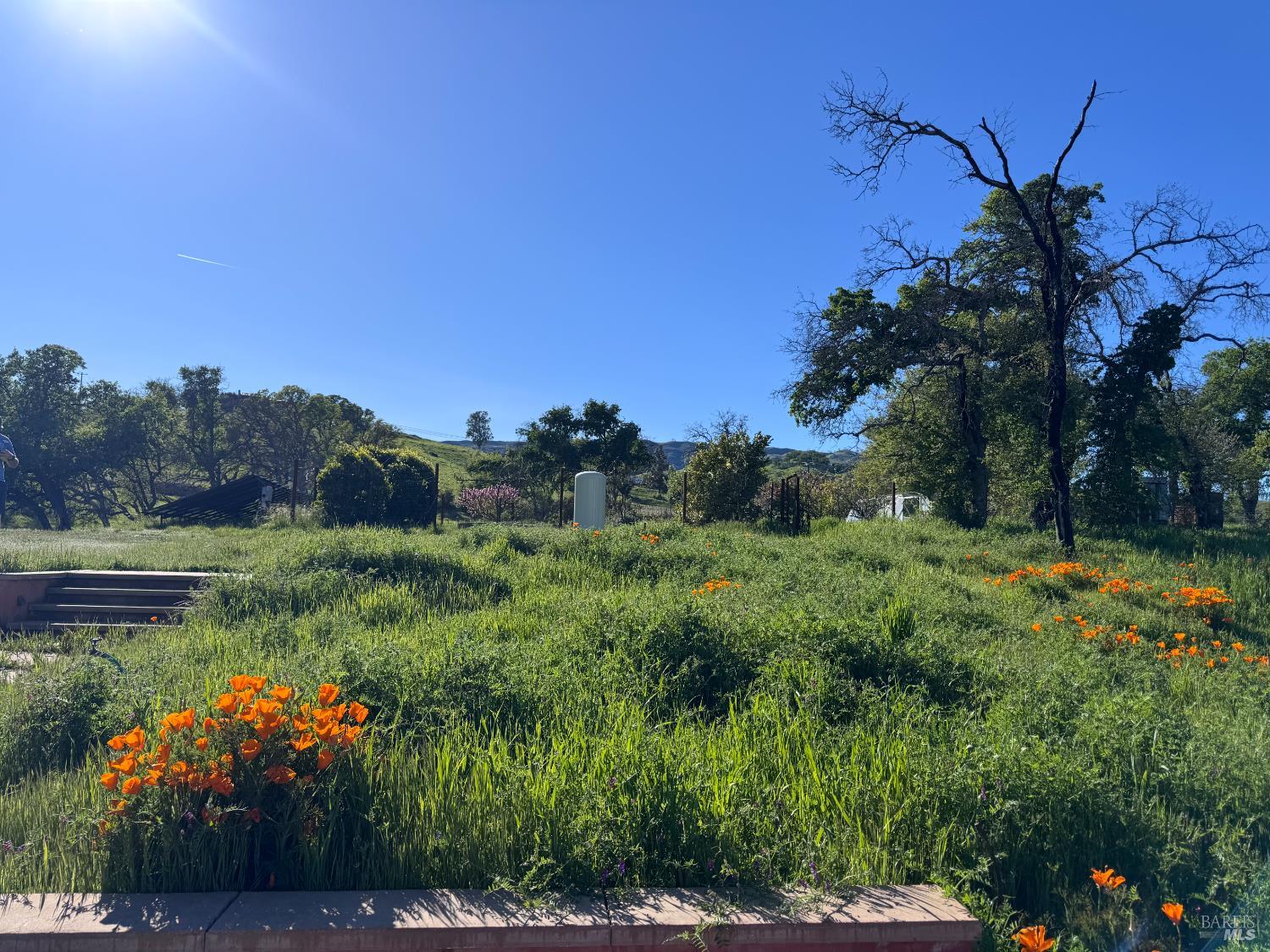 Detail Gallery Image 21 of 35 For 8600 Pleasants Valley Rd, Winters,  CA 95694 - – Beds | – Baths