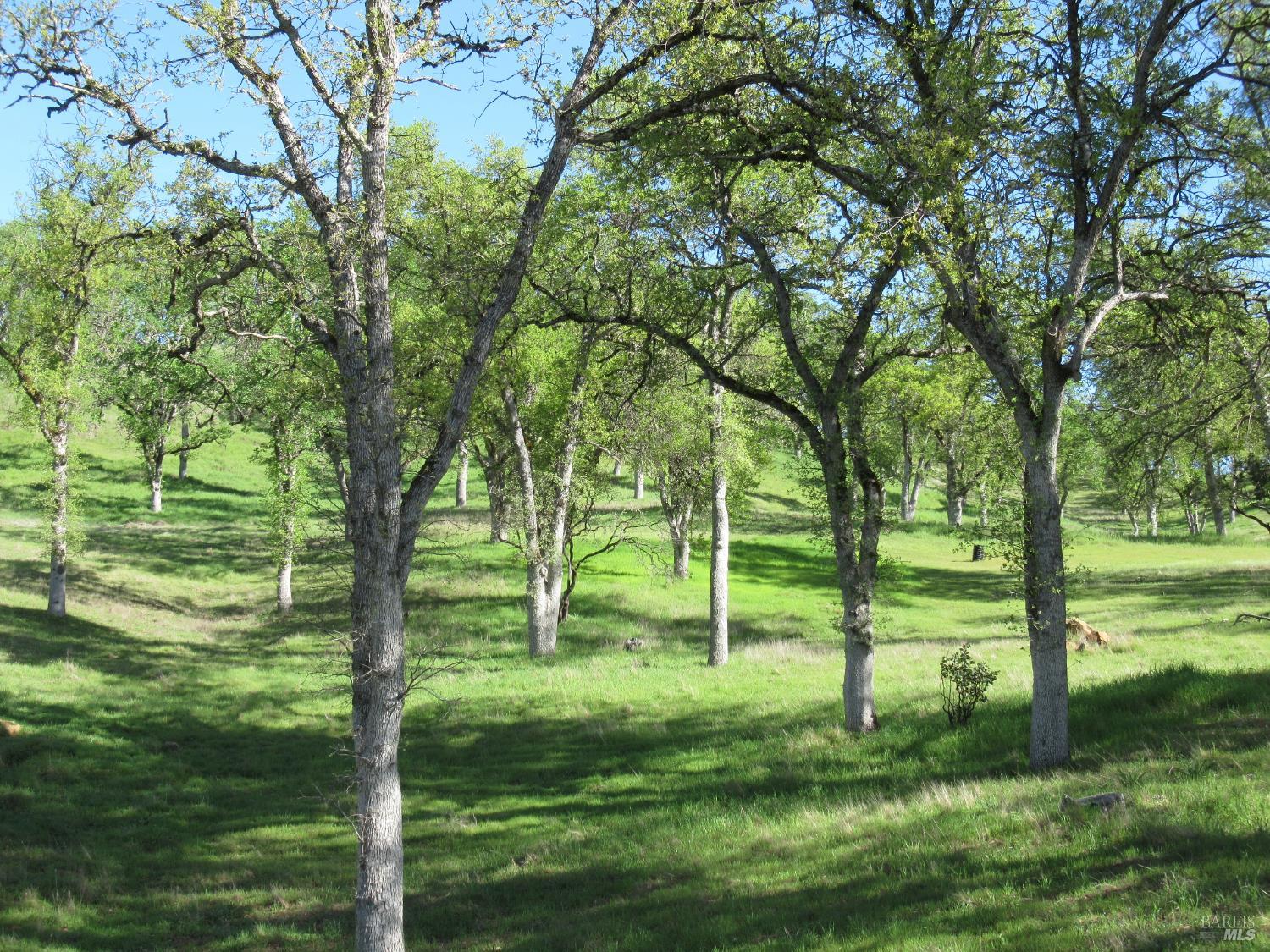 Detail Gallery Image 31 of 49 For 18300 Morgan Valley Rd, Lower Lake,  CA 95457 - 2 Beds | 2 Baths