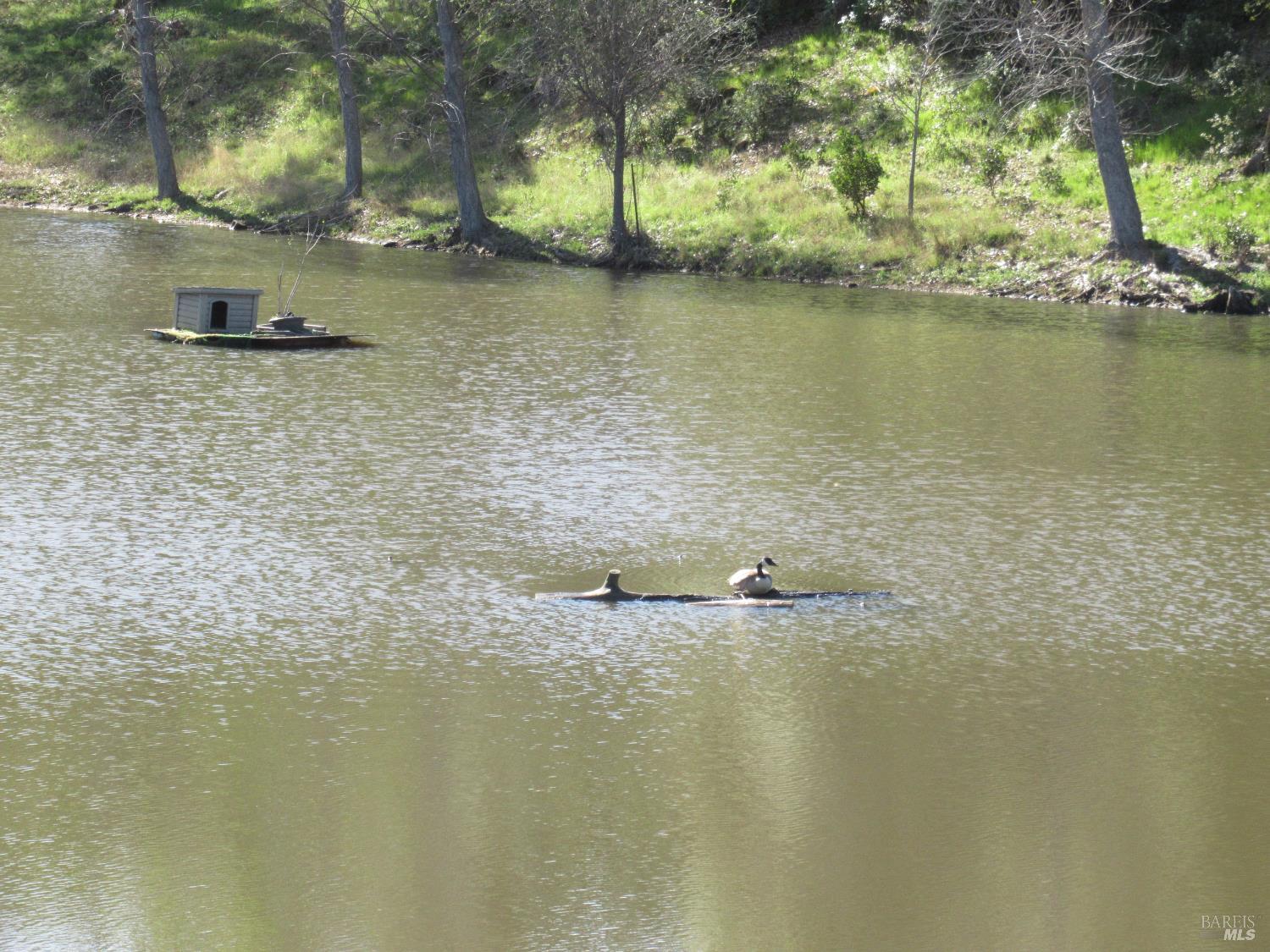 Detail Gallery Image 27 of 49 For 18300 Morgan Valley Rd, Lower Lake,  CA 95457 - 2 Beds | 2 Baths