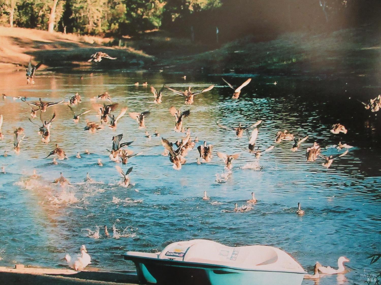 Detail Gallery Image 17 of 49 For 18300 Morgan Valley Rd, Lower Lake,  CA 95457 - 2 Beds | 2 Baths