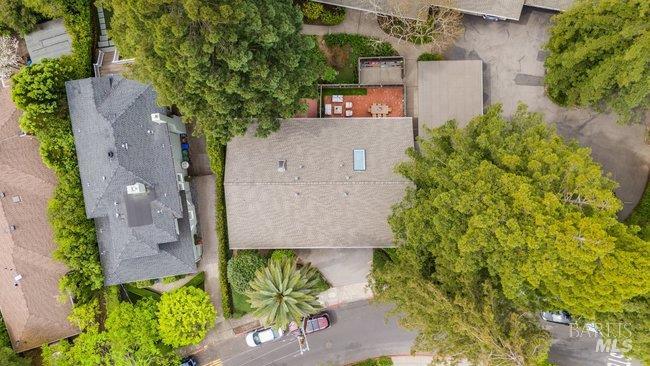 Detail Gallery Image 45 of 50 For 10 Catalpa Ave #7,  Mill Valley,  CA 94941 - 2 Beds | 1 Baths