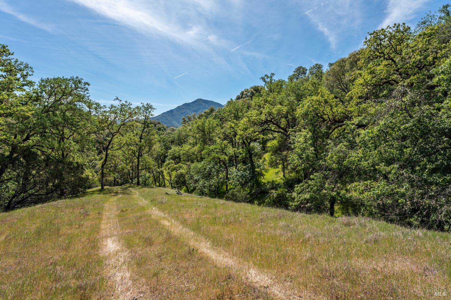 Detail Gallery Image 43 of 48 For 2800 Feliz Creek Rd, Hopland,  CA 95449 - – Beds | – Baths