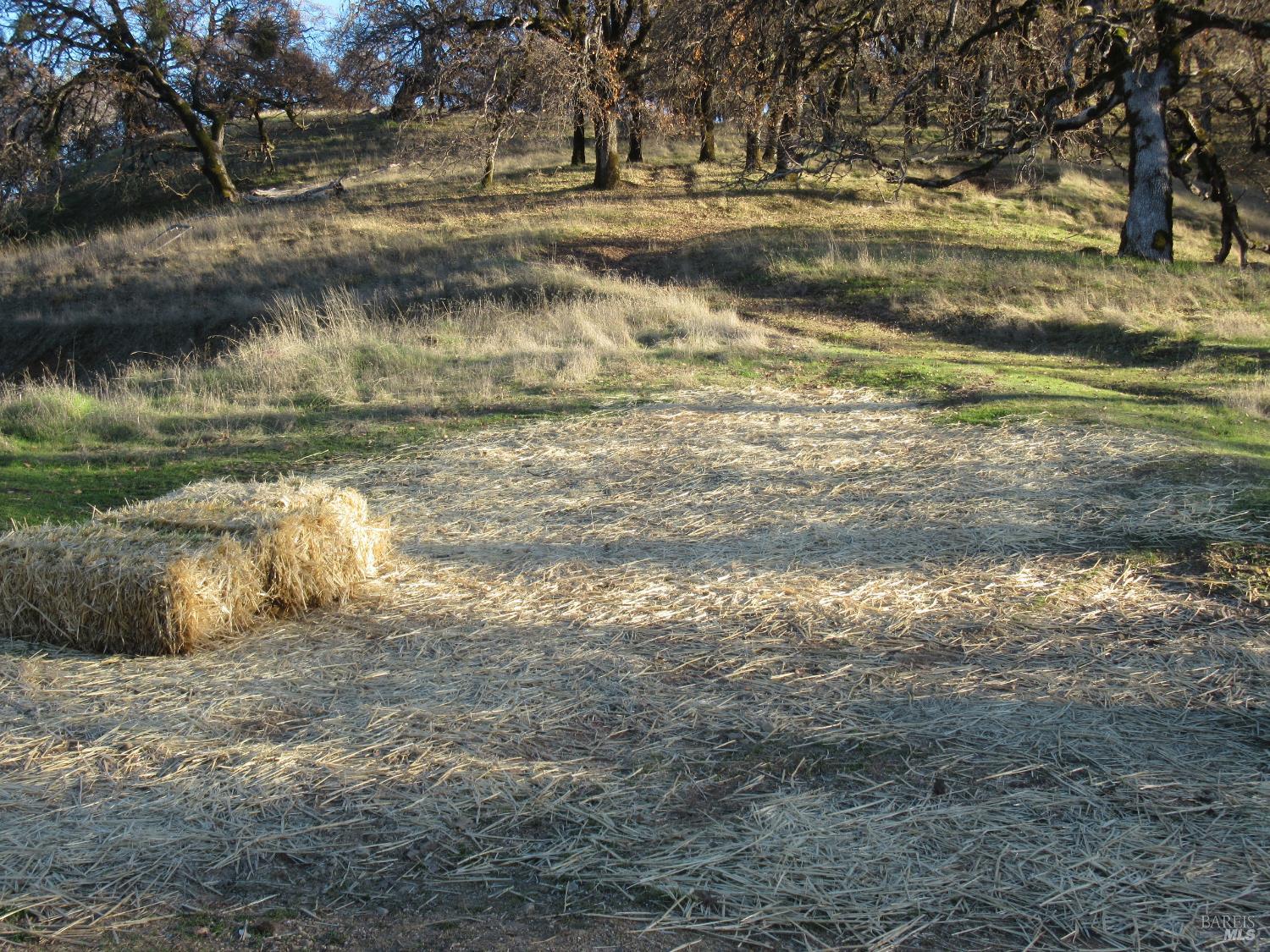 Detail Gallery Image 37 of 37 For 12950 Eagle Rock Rd, Hopland,  CA 95449 - – Beds | – Baths