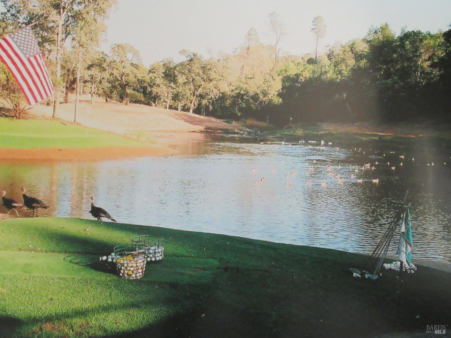 Detail Gallery Image 18 of 49 For 18300 Morgan Valley Rd, Lower Lake,  CA 95457 - 2 Beds | 2 Baths