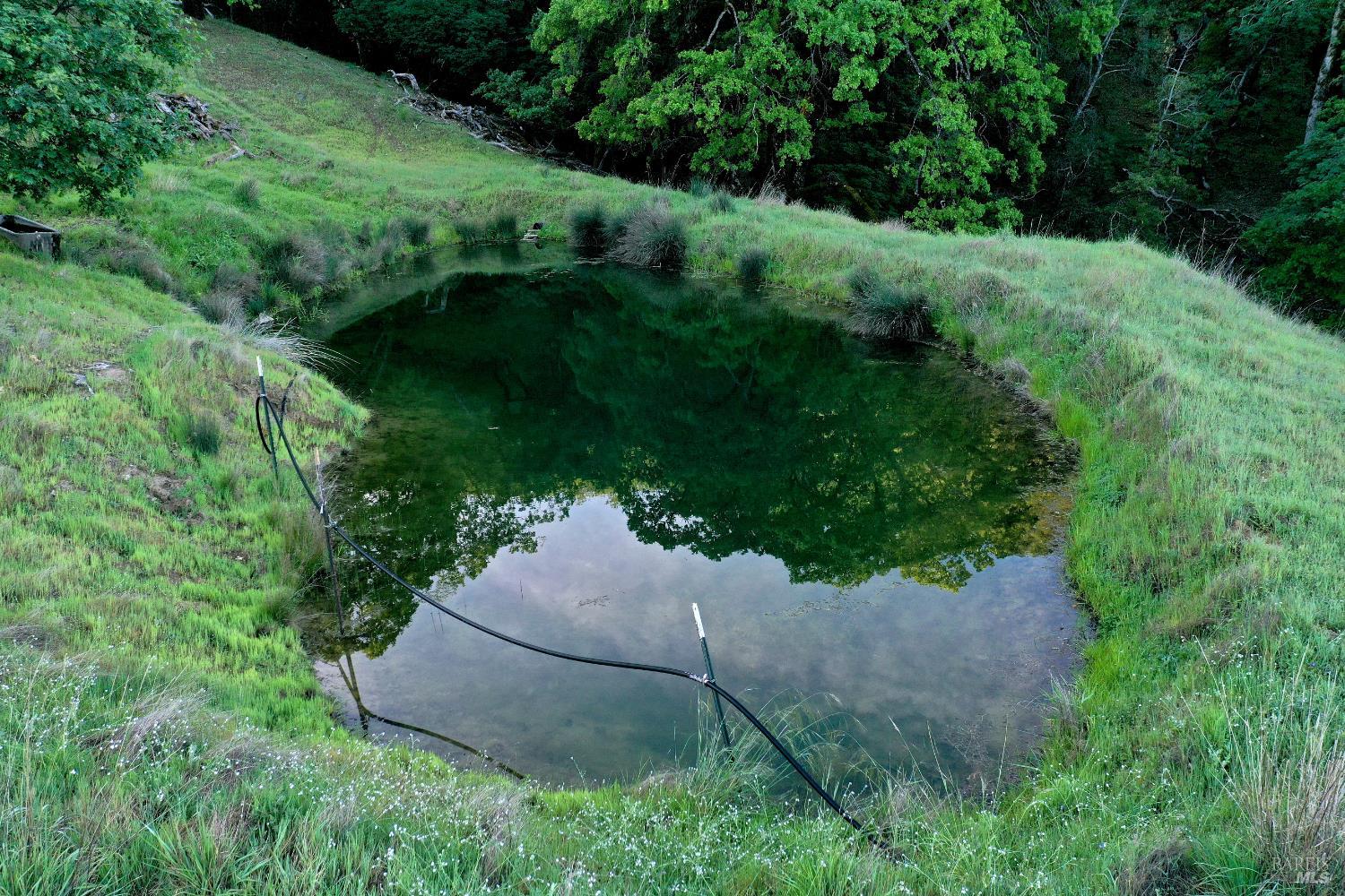 Detail Gallery Image 27 of 37 For 12950 Eagle Rock Rd, Hopland,  CA 95449 - – Beds | – Baths