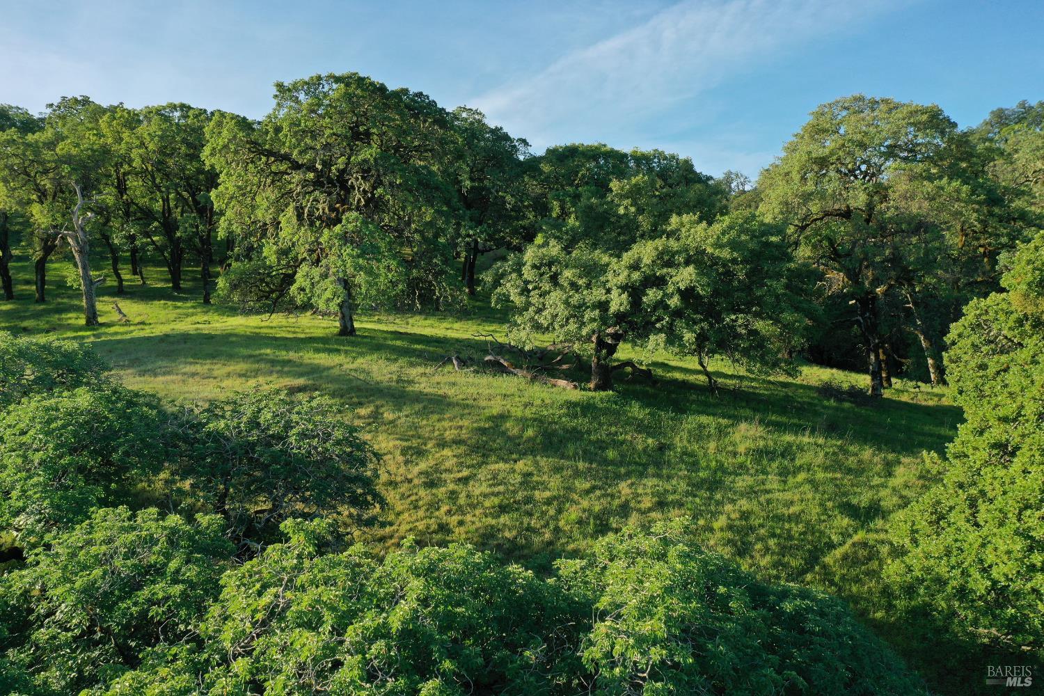 Detail Gallery Image 23 of 37 For 12950 Eagle Rock Rd, Hopland,  CA 95449 - – Beds | – Baths