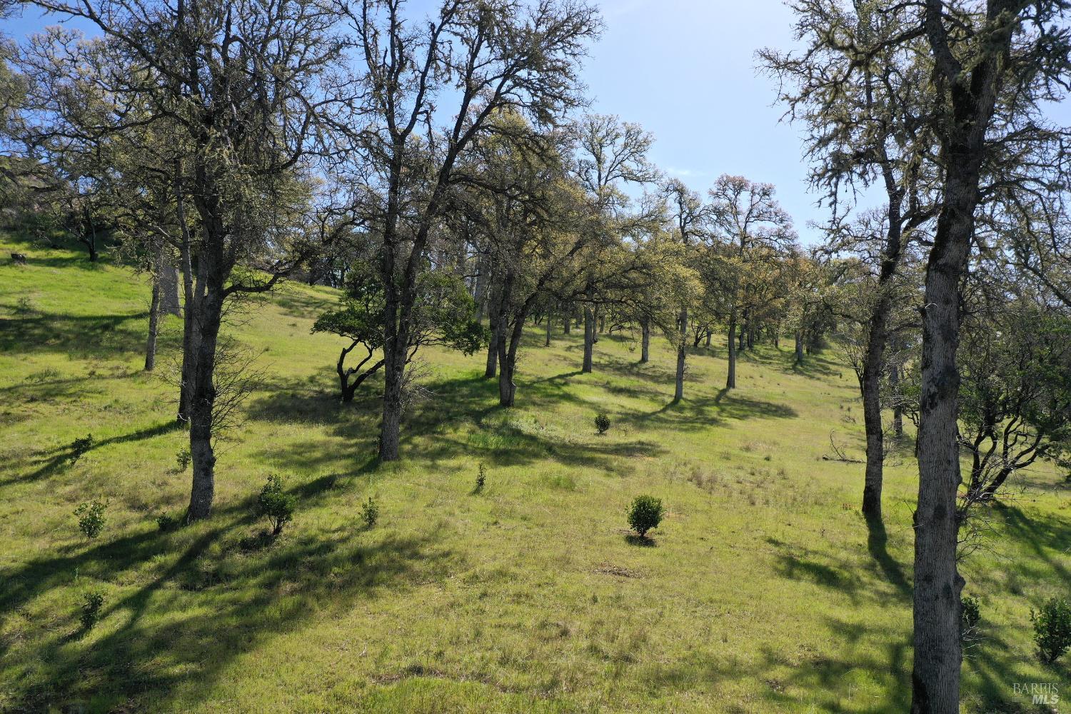 Detail Gallery Image 24 of 49 For 18300 Morgan Valley Rd, Lower Lake,  CA 95457 - 2 Beds | 2 Baths