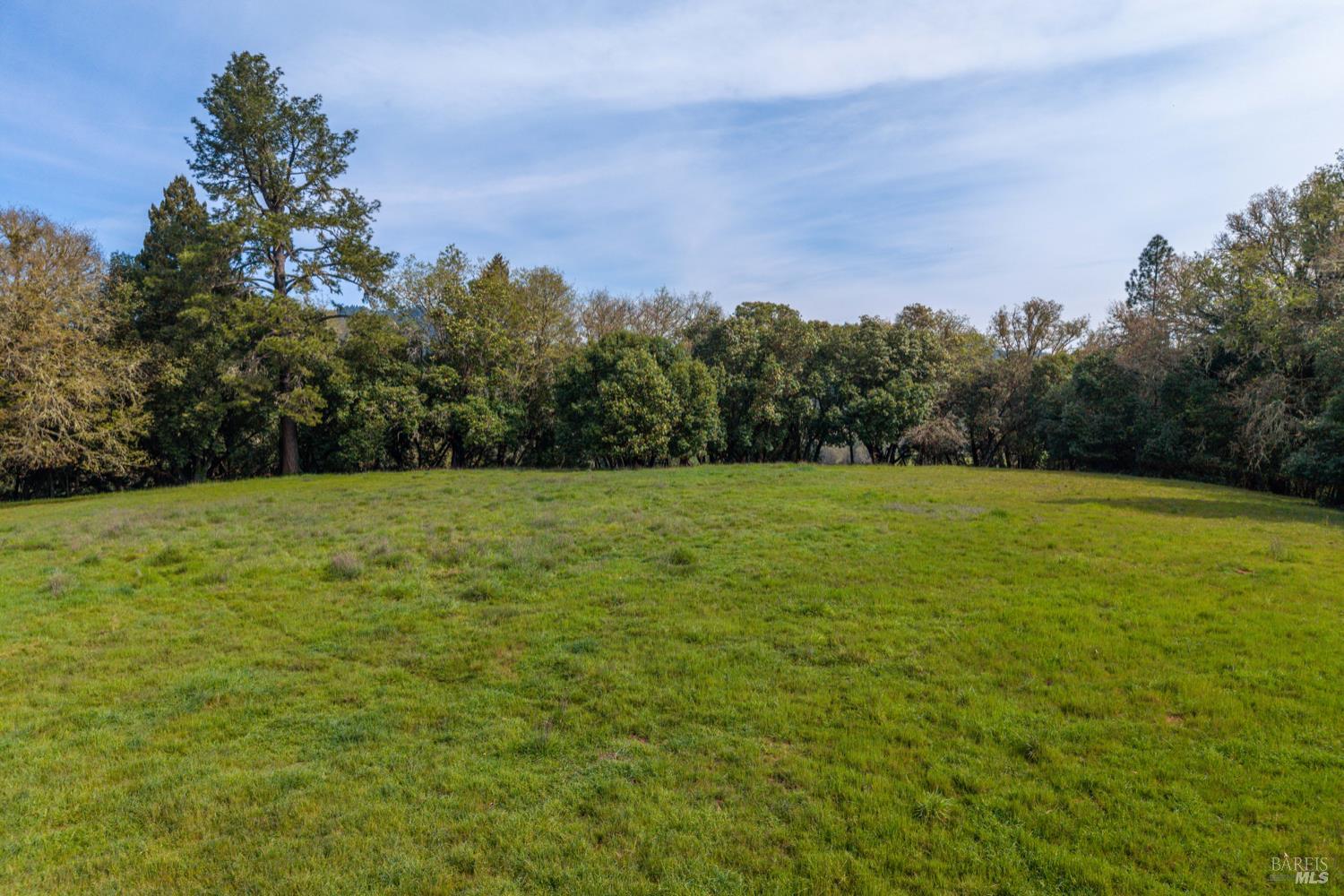 Detail Gallery Image 3 of 14 For 0 East Side Rd, Willits,  CA 95490 - – Beds | – Baths