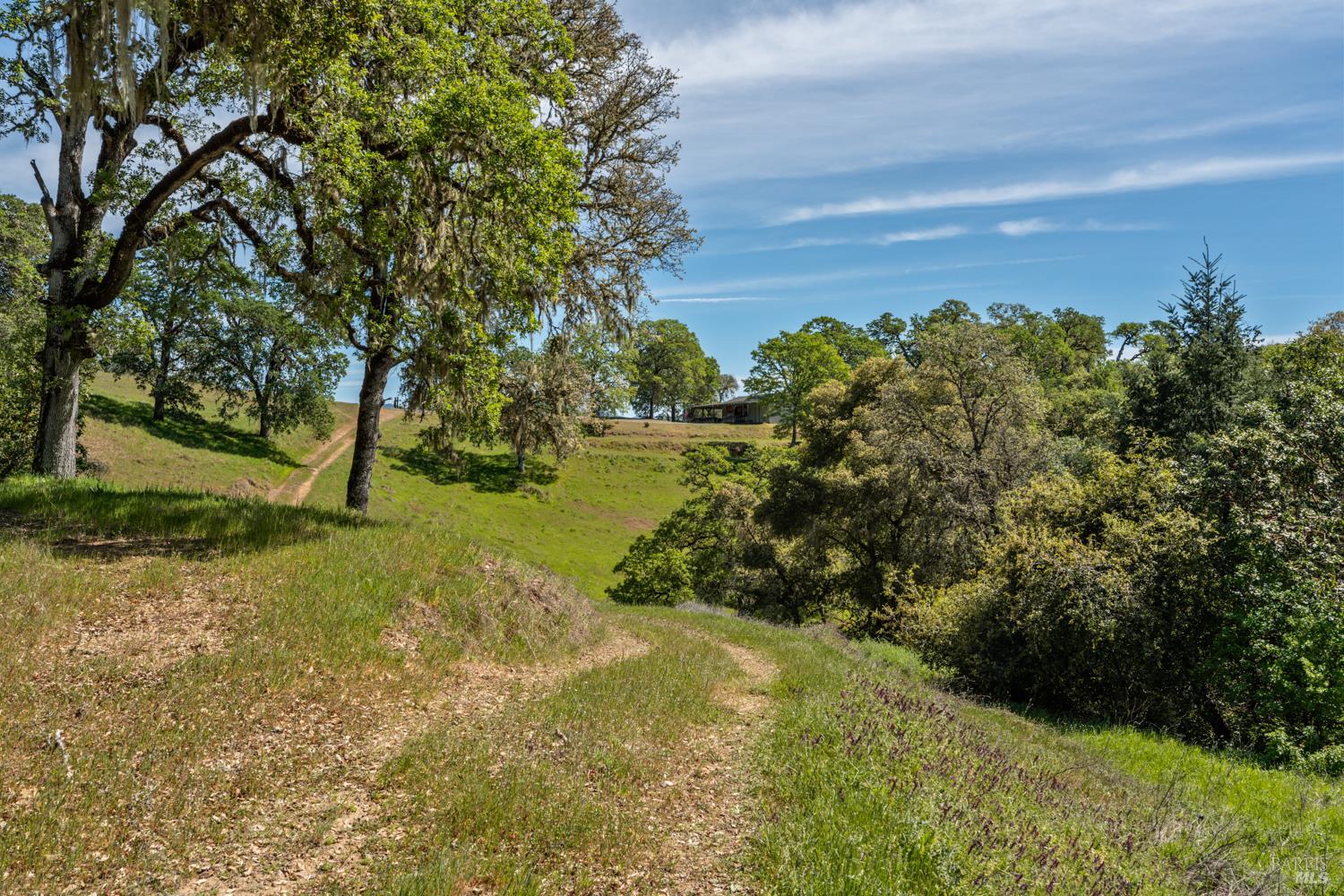 Detail Gallery Image 46 of 48 For 2800 Feliz Creek Rd, Hopland,  CA 95449 - – Beds | – Baths