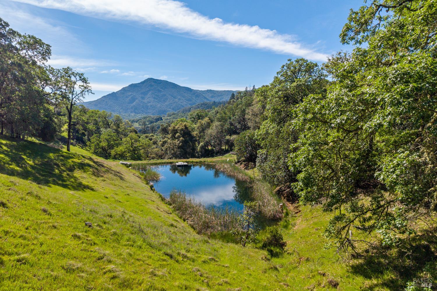 Detail Gallery Image 17 of 48 For 2800 Feliz Creek Rd, Hopland,  CA 95449 - – Beds | – Baths