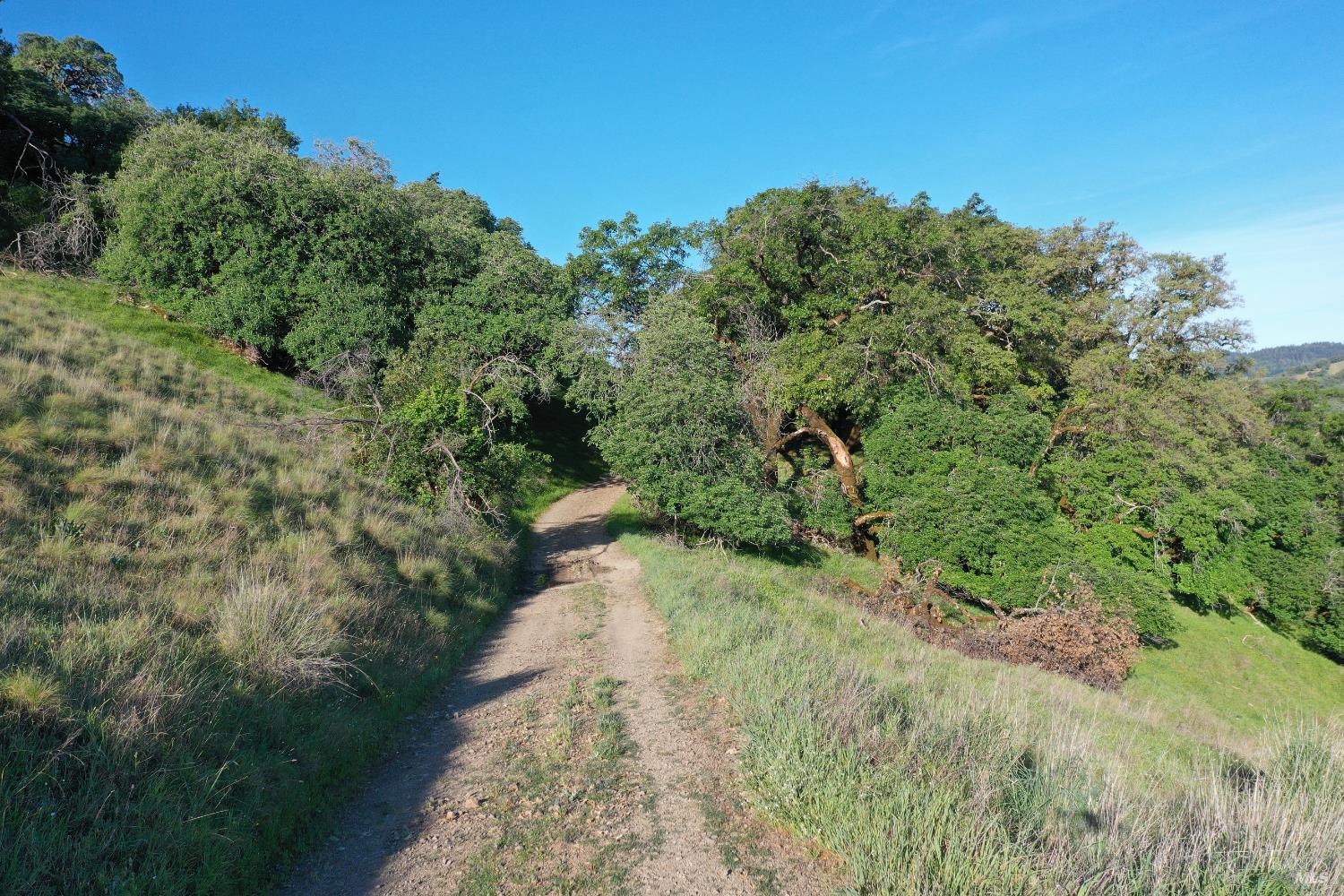 Detail Gallery Image 20 of 37 For 12950 Eagle Rock Rd, Hopland,  CA 95449 - – Beds | – Baths