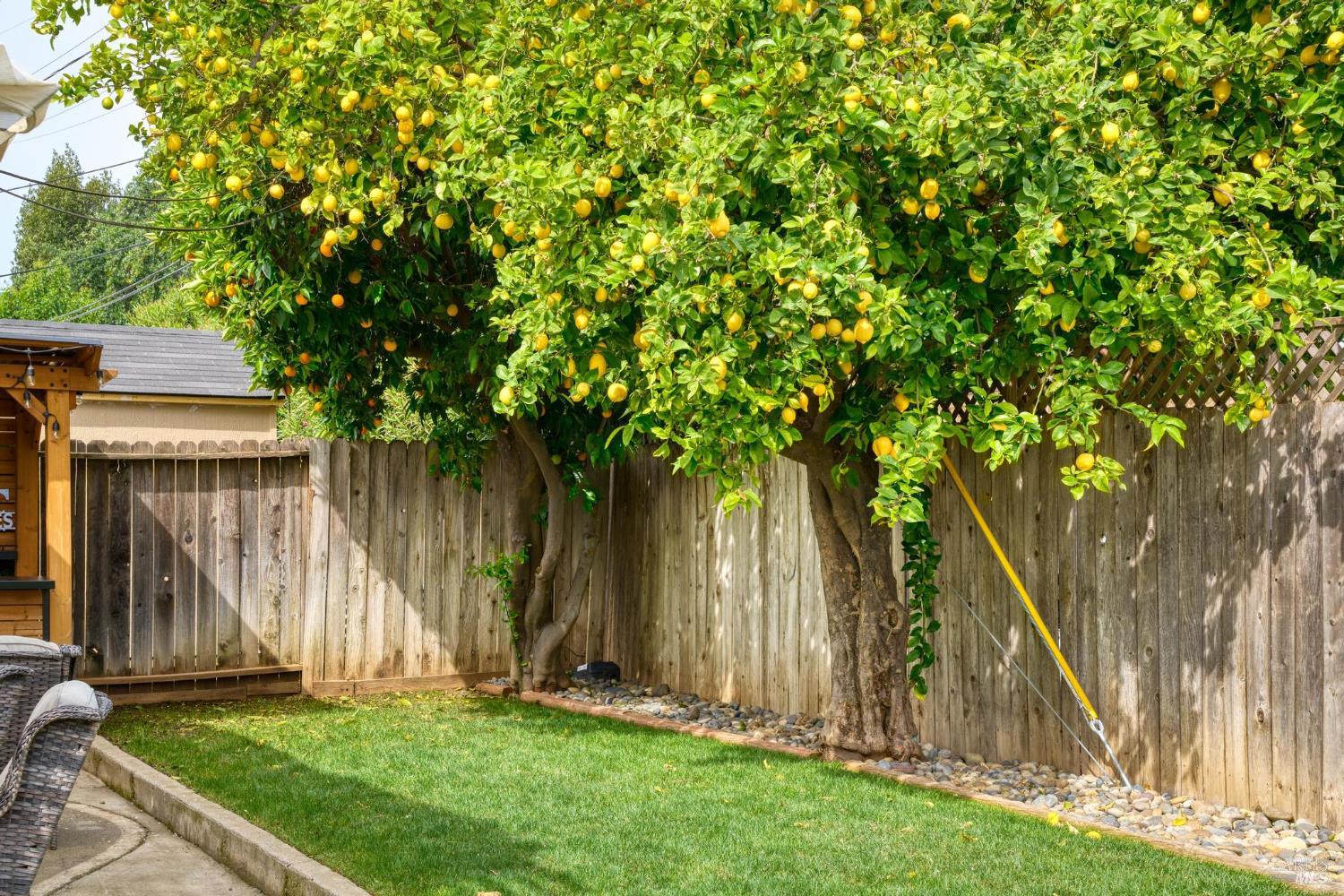 Detail Gallery Image 28 of 30 For 100 Anita Ct, Vacaville,  CA 95688 - 3 Beds | 2 Baths