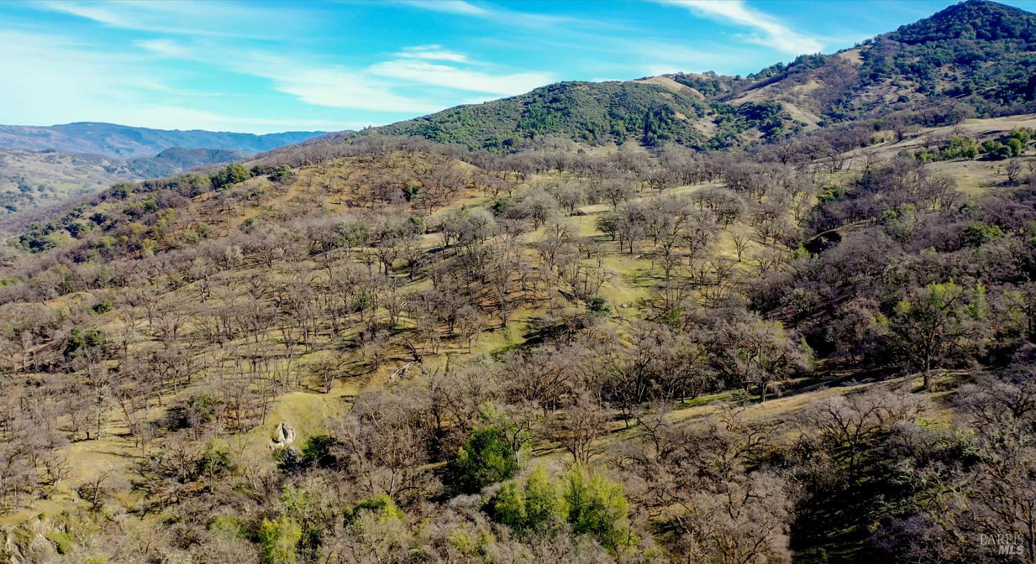 Detail Gallery Image 11 of 37 For 12950 Eagle Rock Rd, Hopland,  CA 95449 - – Beds | – Baths