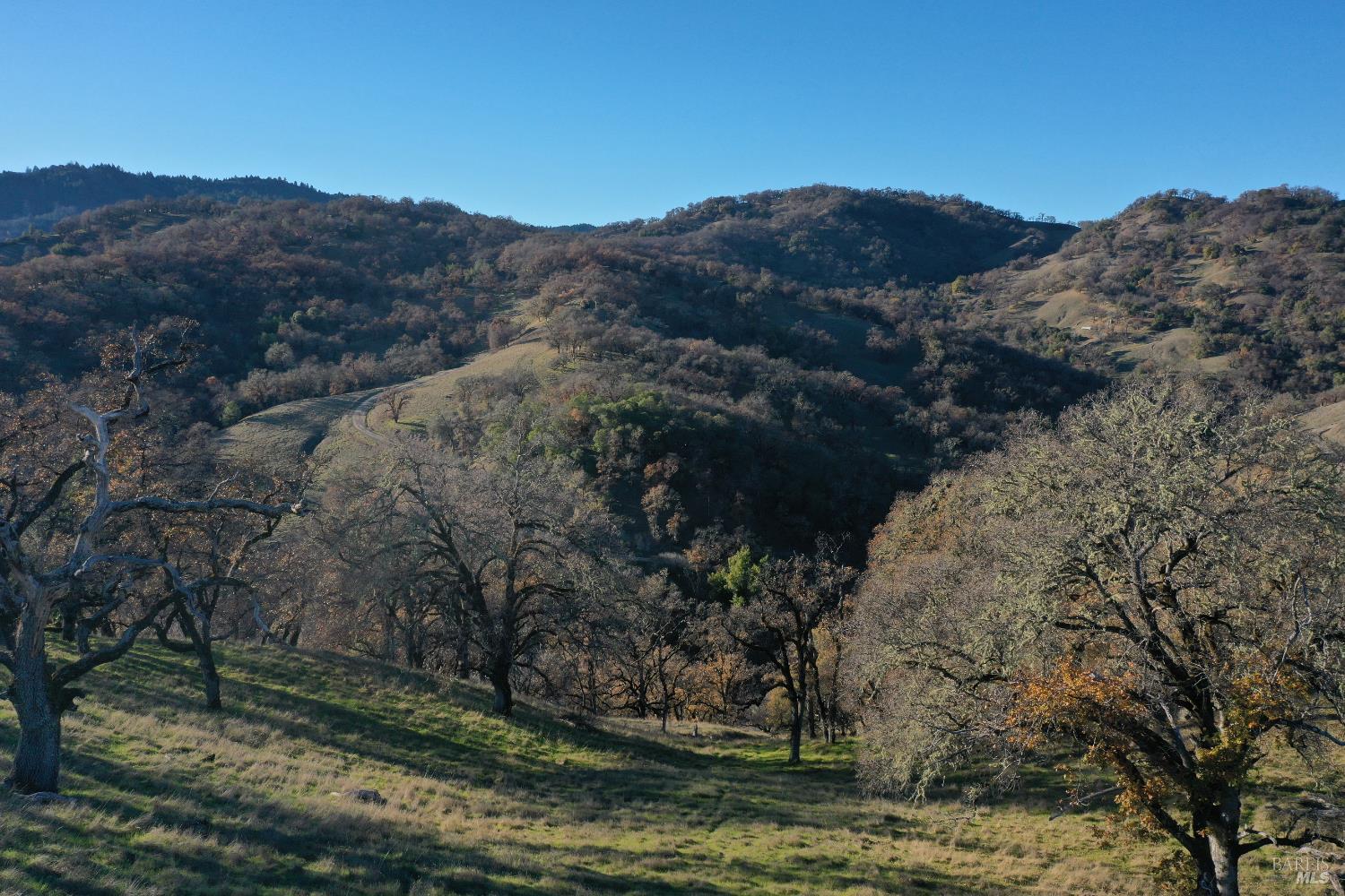 Detail Gallery Image 29 of 37 For 12950 Eagle Rock Rd, Hopland,  CA 95449 - – Beds | – Baths