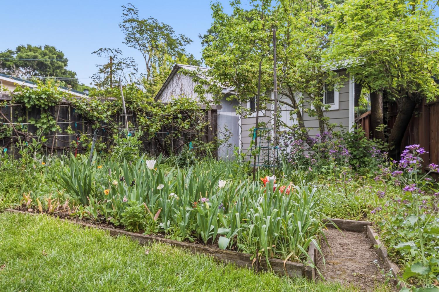 Detail Gallery Image 23 of 34 For 31 Rowland Ct, San Anselmo,  CA 94960 - 3 Beds | 1 Baths