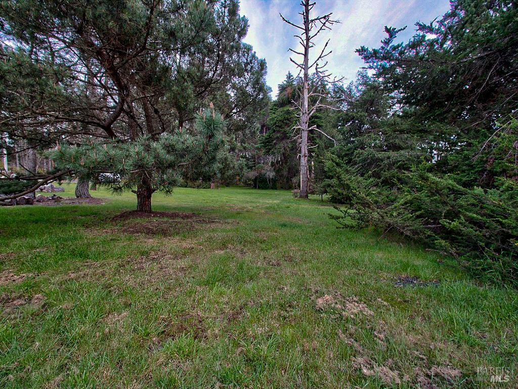 Detail Gallery Image 16 of 25 For 19100 Summers Ln, Fort Bragg,  CA 95437 - – Beds | – Baths