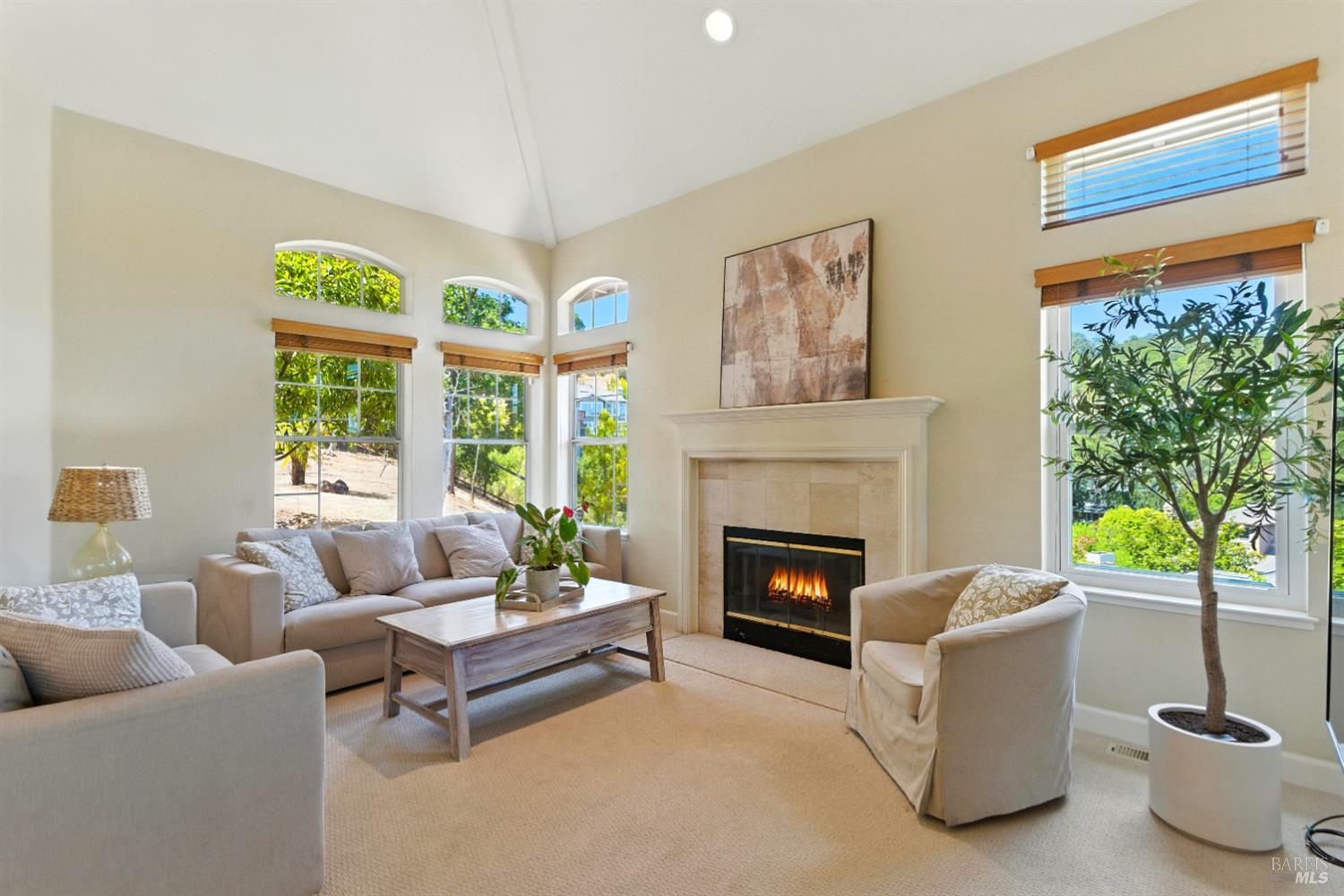 Detail Gallery Image 6 of 40 For 359 Orchid Dr, San Rafael,  CA 94903 - 4 Beds | 2/1 Baths