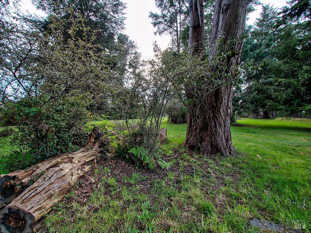 Detail Gallery Image 23 of 25 For 19100 Summers Ln, Fort Bragg,  CA 95437 - – Beds | – Baths