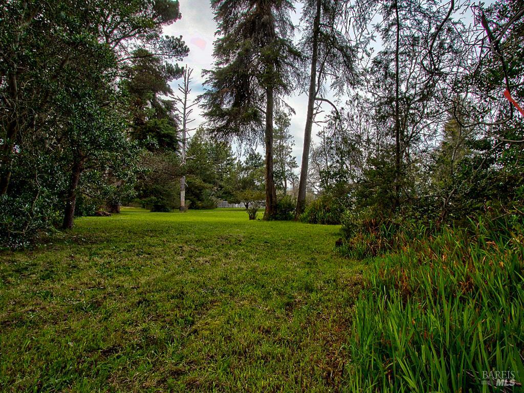 Detail Gallery Image 25 of 25 For 19100 Summers Ln, Fort Bragg,  CA 95437 - – Beds | – Baths