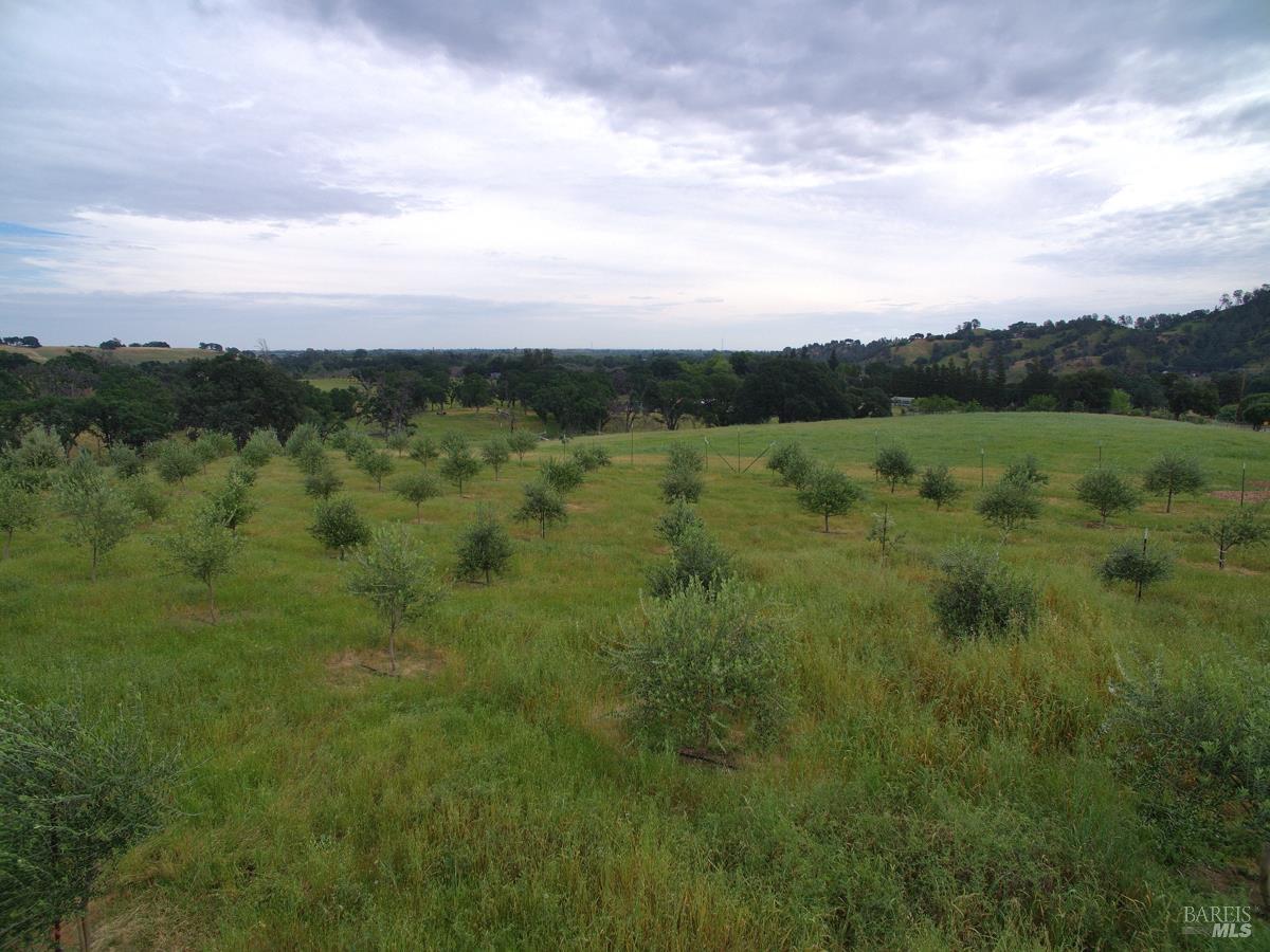 Detail Gallery Image 11 of 35 For 8600 Pleasants Valley Rd, Winters,  CA 95694 - – Beds | – Baths