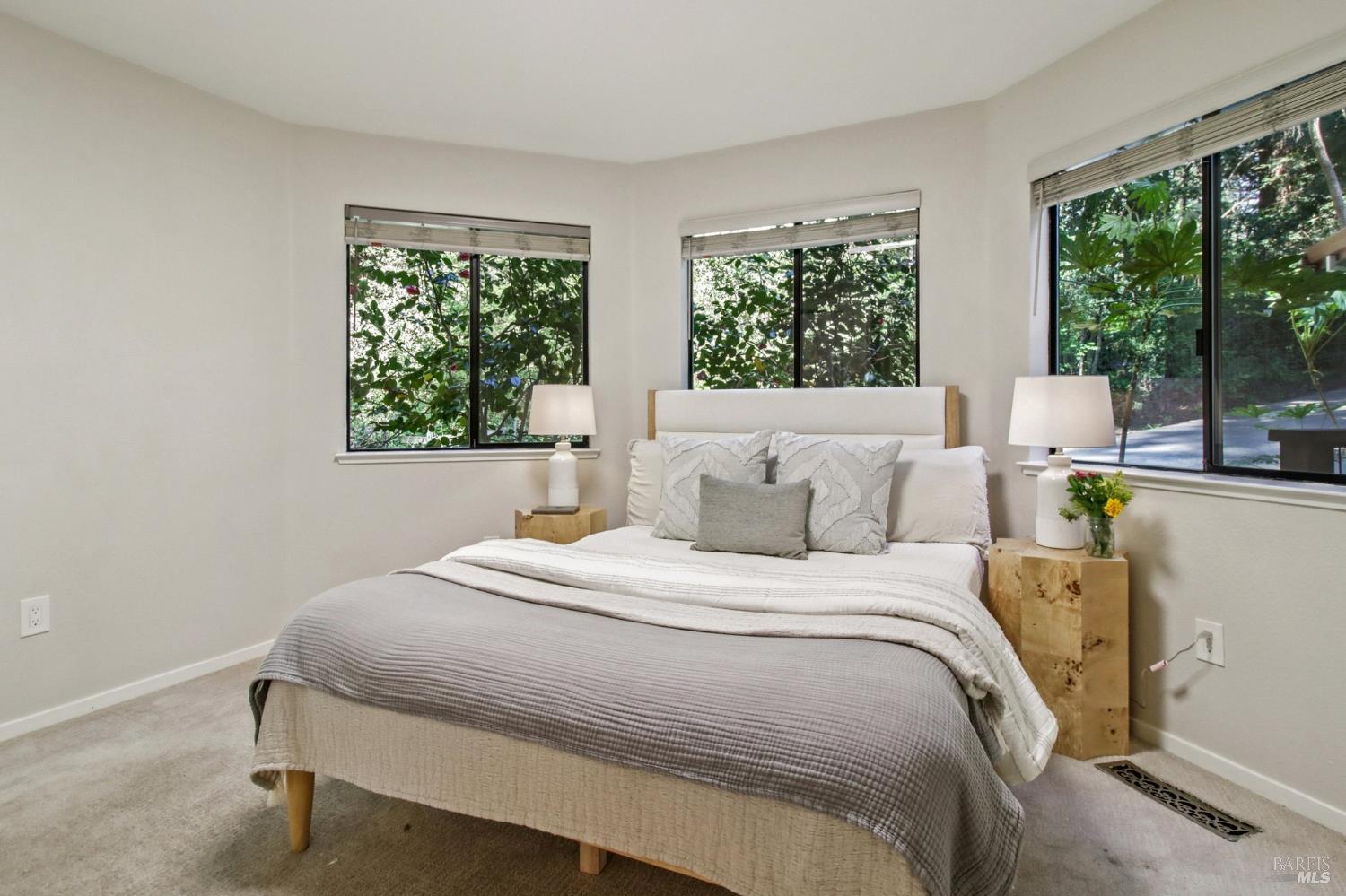 Detail Gallery Image 37 of 53 For 12480 Fiori Ln, Sebastopol,  CA 95472 - 3 Beds | 2/1 Baths