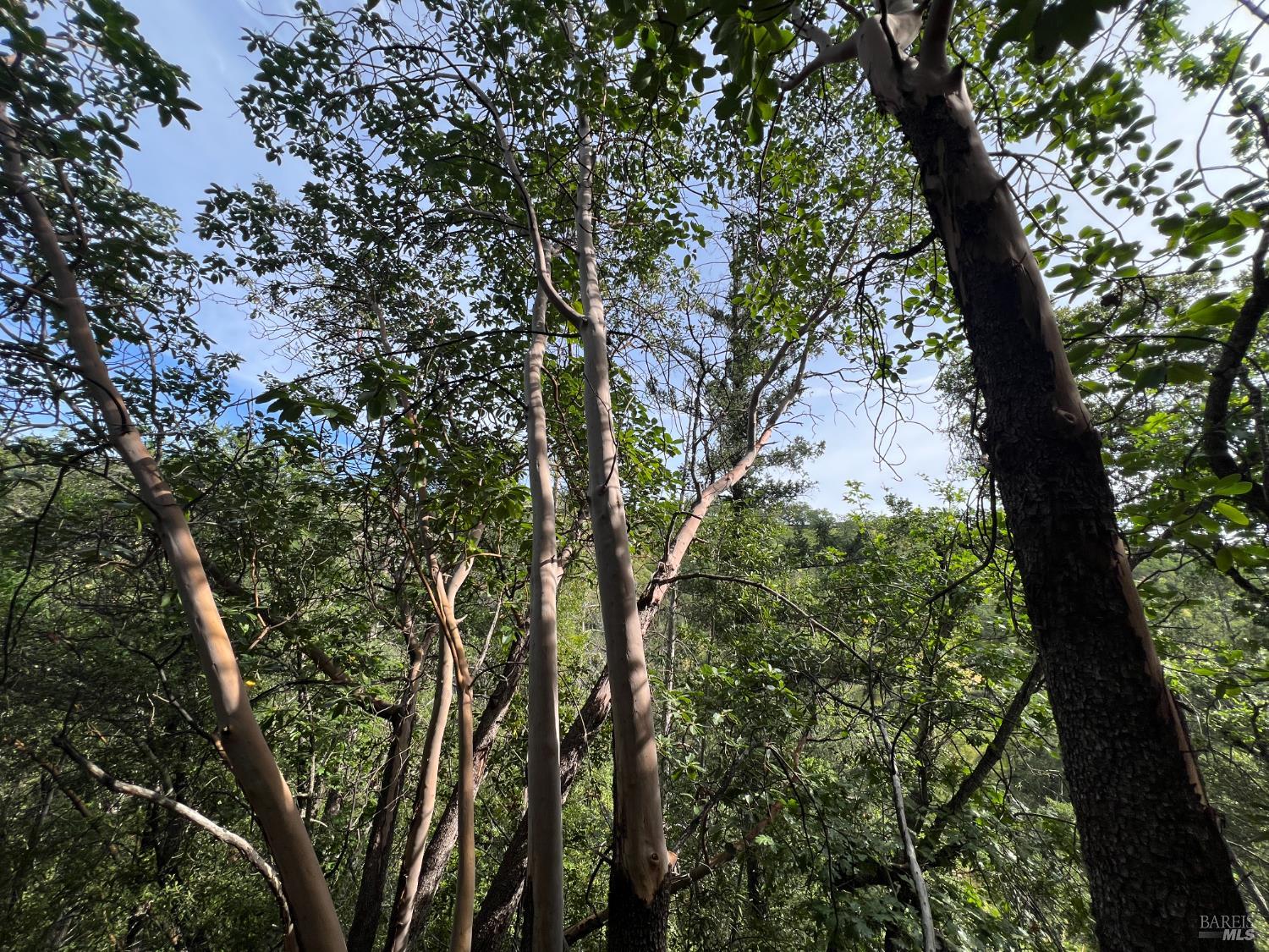 Detail Gallery Image 55 of 58 For 321 Portofino Way, Cloverdale,  CA 95425 - 4 Beds | 3 Baths