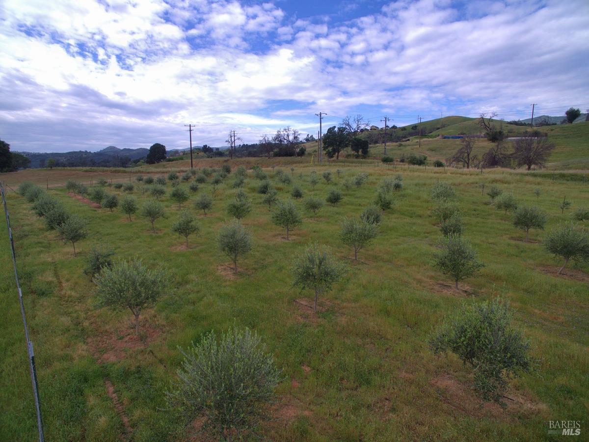 Detail Gallery Image 10 of 35 For 8600 Pleasants Valley Rd, Winters,  CA 95694 - – Beds | – Baths